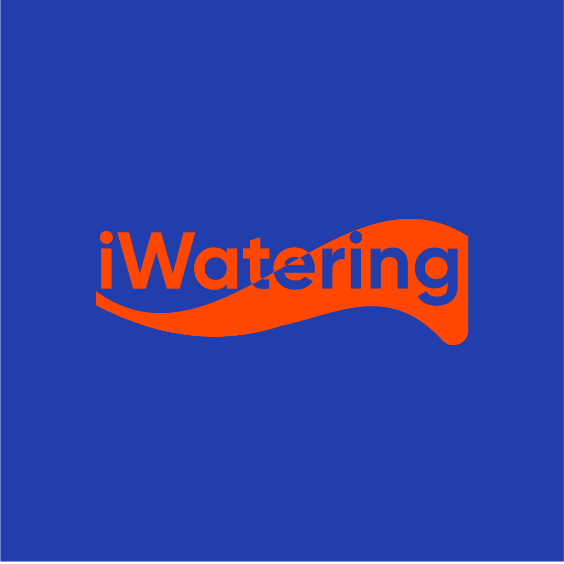 Логотип iWatering: оранжевый на синем